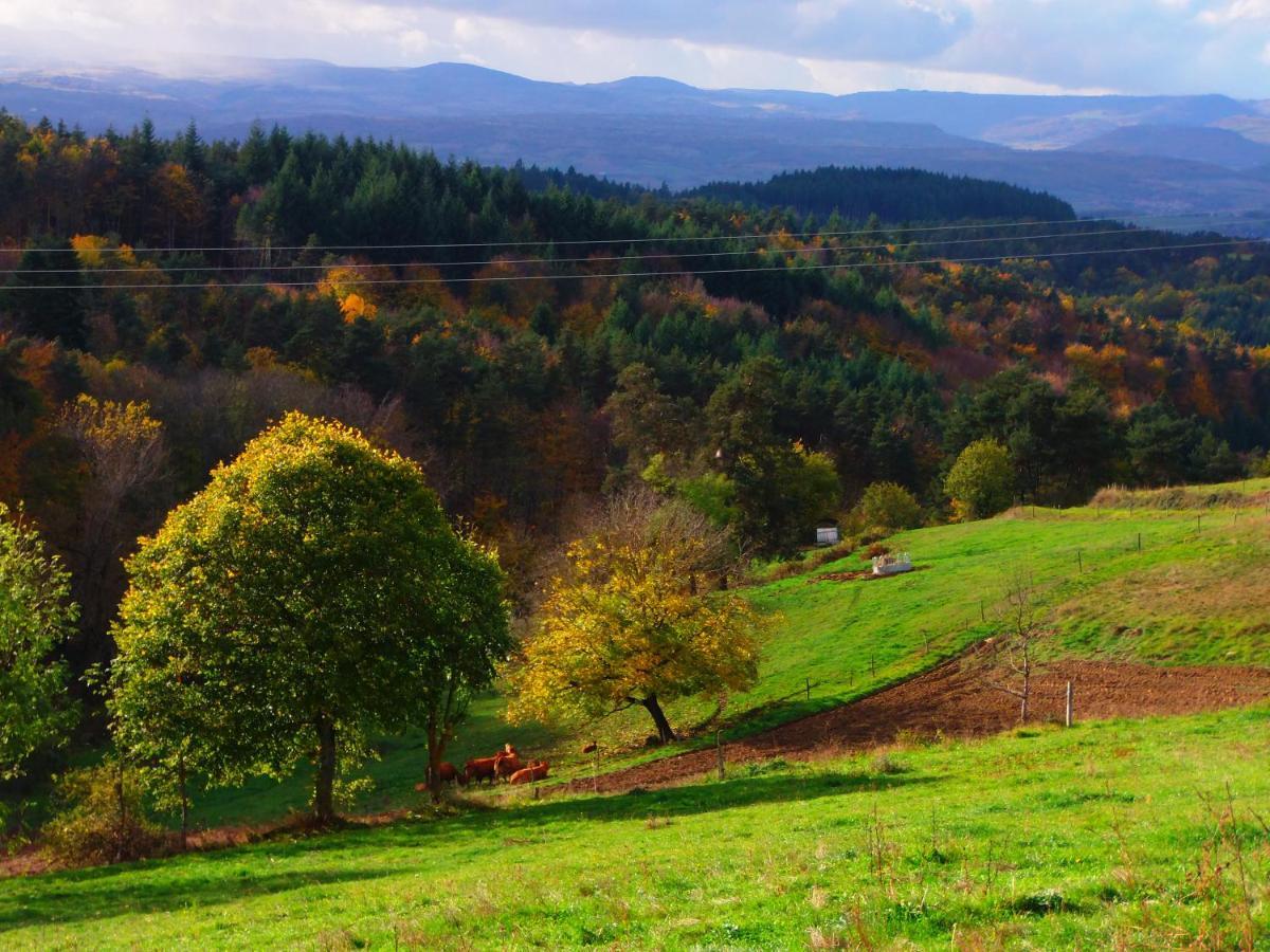 Le Vallon D'Armandine, Gite Ecologique Auvergne Saint-Hilaire  Dış mekan fotoğraf