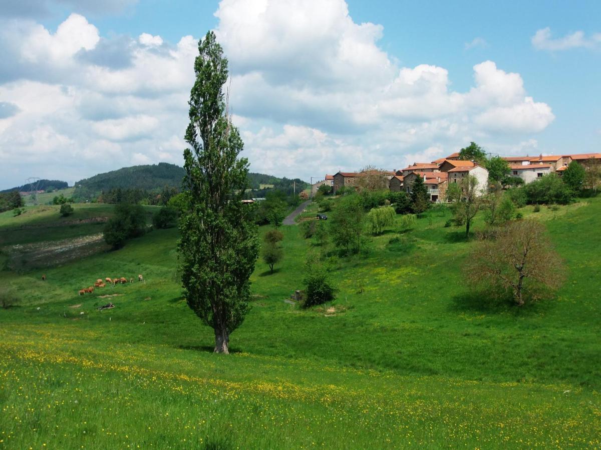 Le Vallon D'Armandine, Gite Ecologique Auvergne Saint-Hilaire  Dış mekan fotoğraf